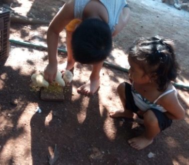 Zwei Kinder aus einer Maya-Familie füttern Küken
