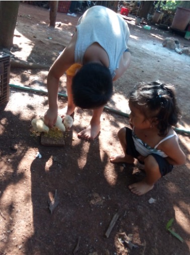 Zwei Kinder aus einer Maya-Familie füttern Küken