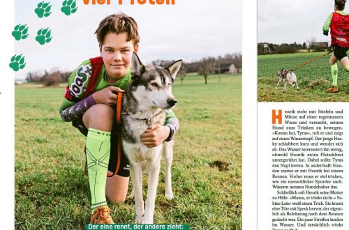 Man sieht einen Ausschnitt aus dem Magazin Dein Spiegel. Es handelt sich um einen Bericht über Henrik und seinen Husky.