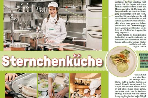 Ein Ausschnitt aus Dein Spiegel. Man sieht den Artikel Sternchenküche