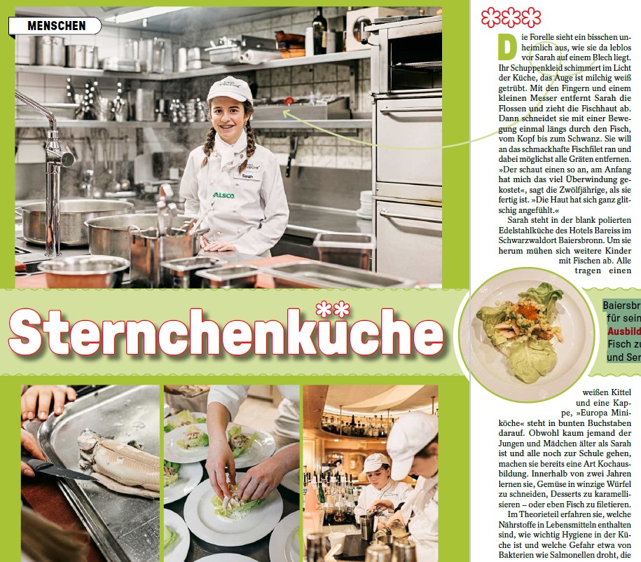 Ein Ausschnitt aus Dein Spiegel. Man sieht den Artikel Sternchenküche